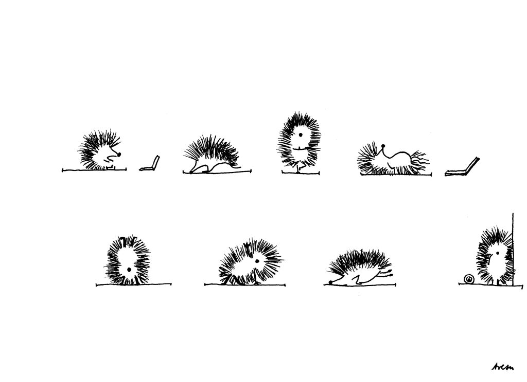 Yoga-Igel-Alle Arezu Weitholz