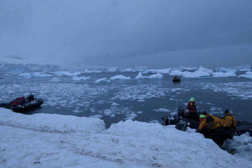 Schlauchboote und Passagiere landen im Schnee an der Küste von Cuverville
