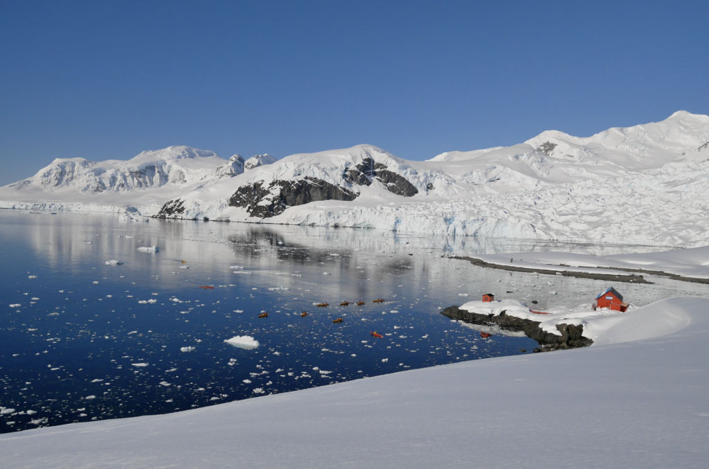 Blick in die Bucht, eisbrocken schwimmen vor einem HIntergrund aus Schnee, Paradise Harbour